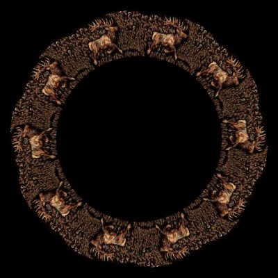 Elk's Flowery Run round preview