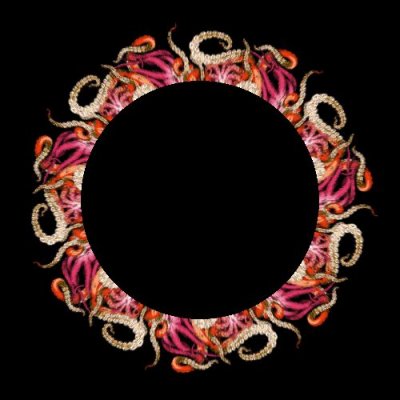 Kraken IV round preview