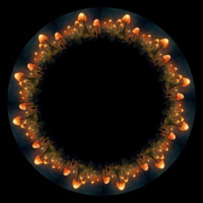 the center of the earth round preview