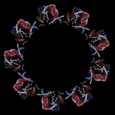 spiderman visual poi round preview