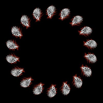 Western skull round preview