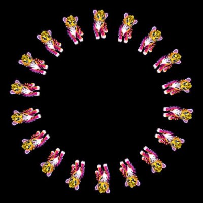 hunter lisa frank round preview