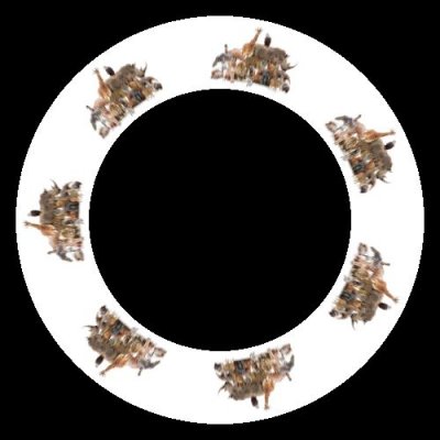 istockphoto 1409785345 612x612 round preview