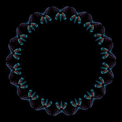 Moth 1 round preview