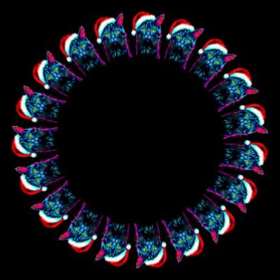 Christmas cat 1 round preview