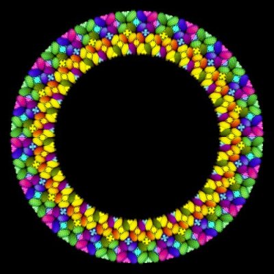 gamma13 round preview