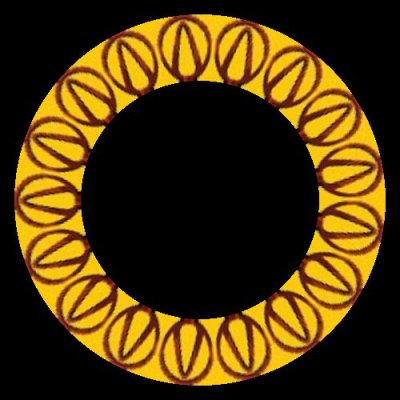 Borderlands round preview