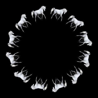 cheval blanc fond noir 80 round preview